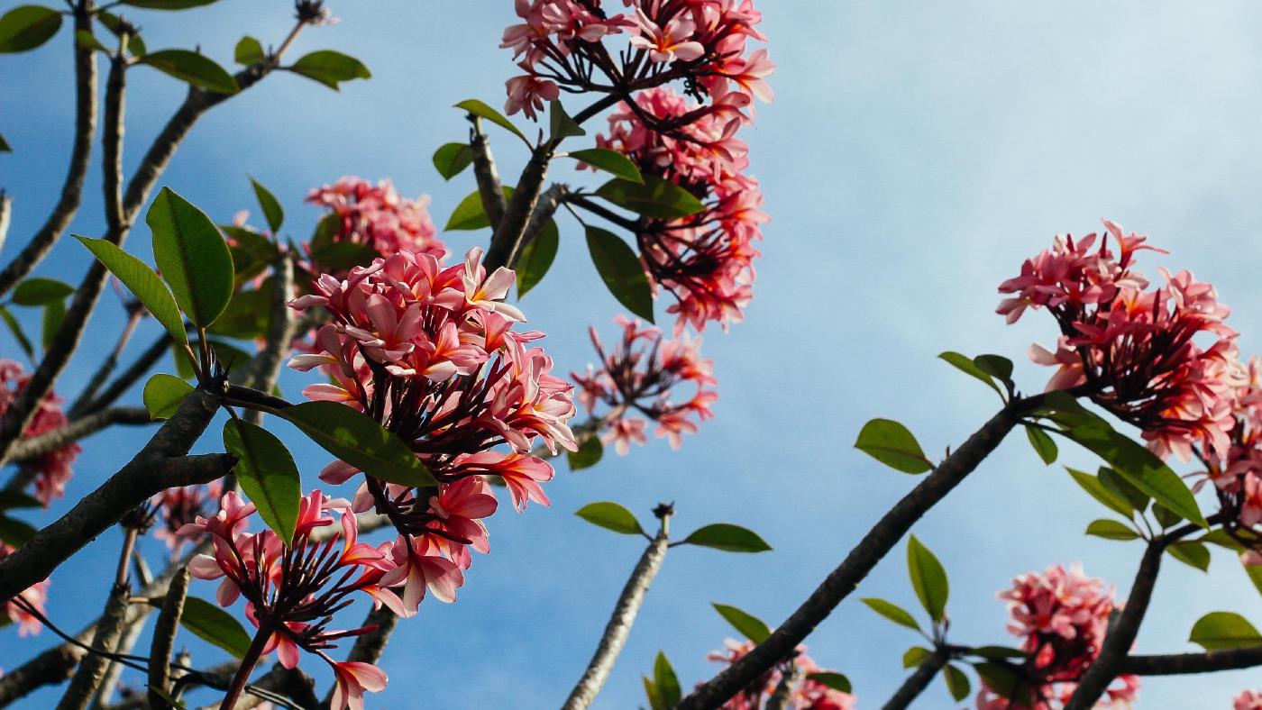 Fourth post (excluded from search)